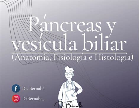 P Ncreas Y Ves Cula Biliar Anatom A Fisiolog A E Histolog A Dr