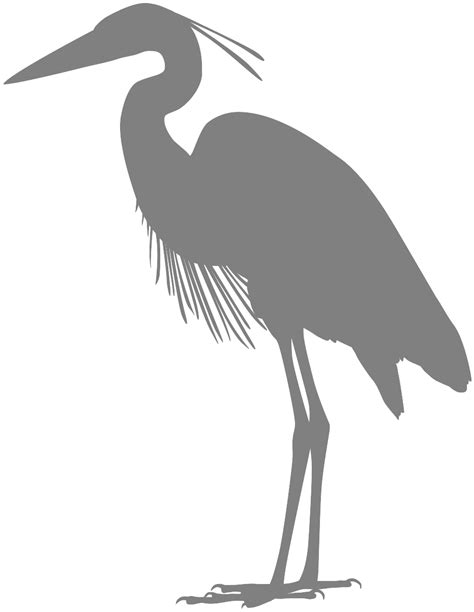 Great Blue Heron Silhouette Free Vector Silhouettes