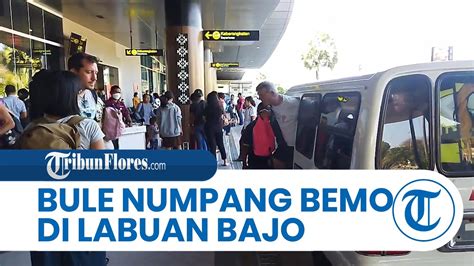 Tak Ada Taksi Bandara Komodo Wisatawan Asing Numpang Bemo Di Labuan