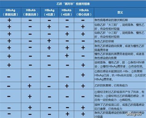 乙肝五项正确对照表 千图网