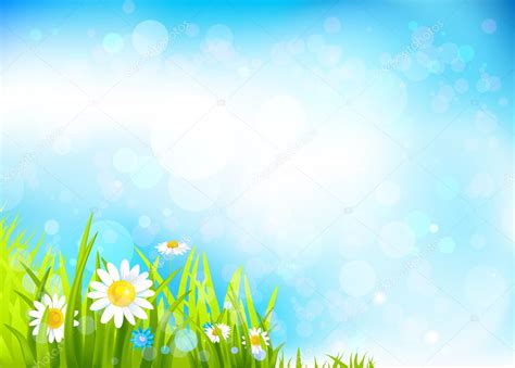 Fondo De Verano Con Flores Y Hierba Stock Vector By Paprika 28793089