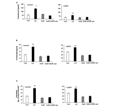 In vitro testosterone T and 17β Estrogen 17βE secretion A B and