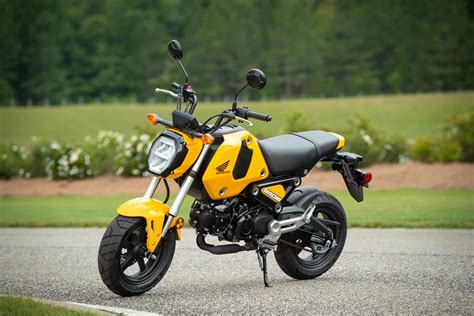 Used Honda Grom For Sale Under Eda Shea