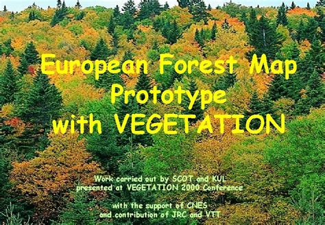 European Forest Map Prototype with VEGETATION Work carried