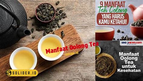 Temukan 7 Manfaat Teh Oolong Yang Jarang Diketahui Solider