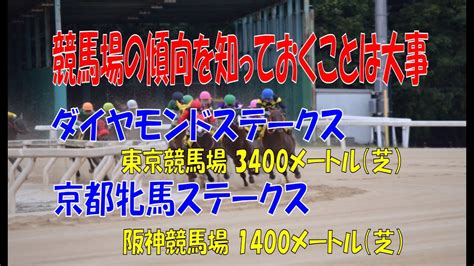 競馬場の傾向と解説 】ダイヤモンドステークス 京都牝馬ステークス Youtube