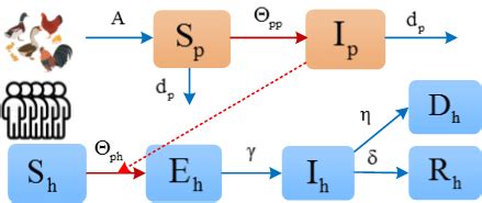 Flow diagram on the dynamical transmission of H7N9 infection among ...