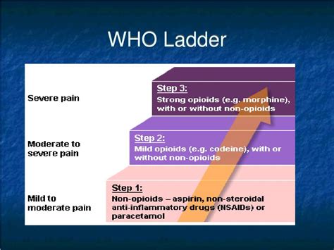 Ppt Cancer Pain Management 101 Powerpoint Presentation Free Download Id 1210013