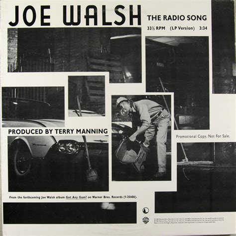 Joe Walsh - The Radio Song (1987, Vinyl) | Discogs