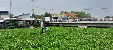 Pemerintah Kabupaten Lamongan Galeri