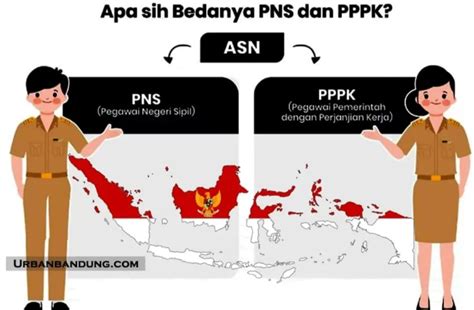 Bingung Mau Daftar PNS Atau PPPK Simak Yukkk Beberapa Perbedaan