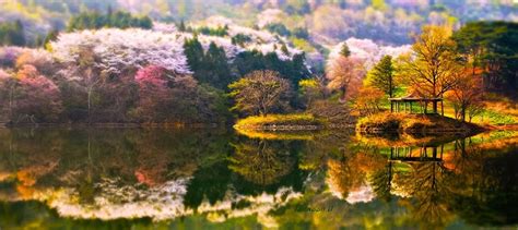 Photographer Captures Stunning South Korean Landscapes Reflected in ...