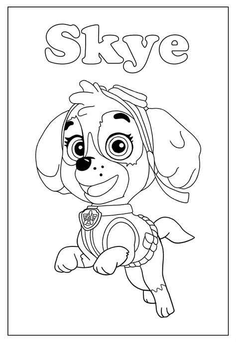 Desenhos Da Skye Para Colorir Bora Colorir