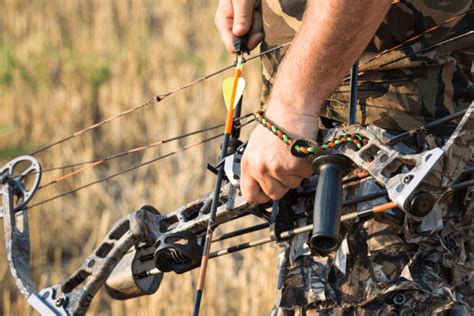 The Best Compound Bow Our Top Picks For Hunting And Target Shooting