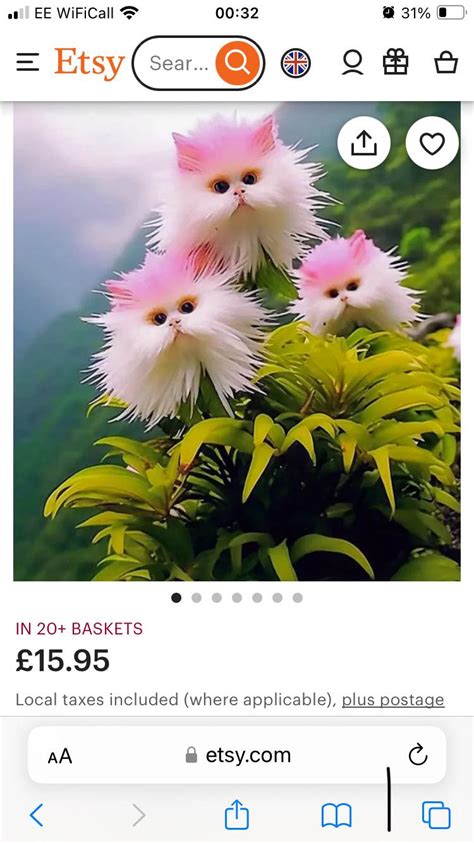 Hmm 🤔 “cats Eye Dazzle” Flowers This Can’t Be Real 🤣 Is There A Real Plant And What Does It