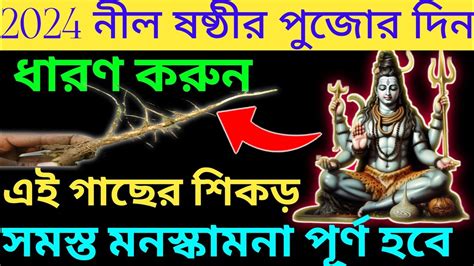 নীলষষ্ঠী পূজার দিন ধারণ করুন এই গাছের শিকড় সমস্ত মনস্কামনা পূরণ হবে