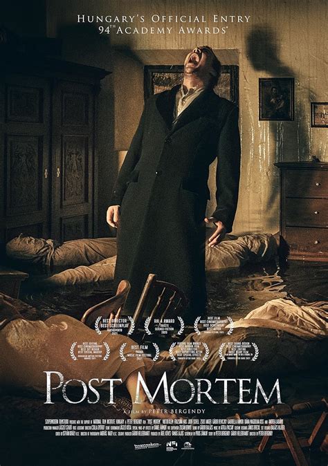 Post Mortem Plot Imdb