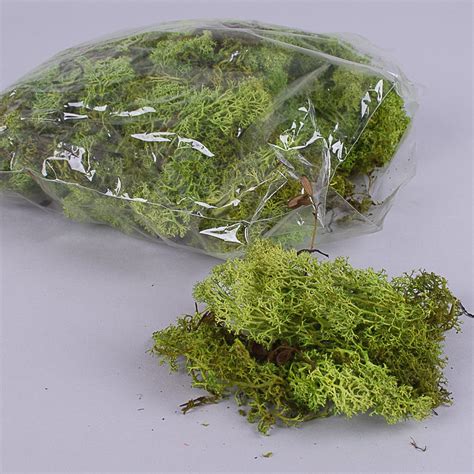 Мох натуральный стабилизированный купить. Натуральный мох в брикетах ...