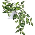 Amazon Garhelper Pcs Artificial Greenery Plant Branches Inch