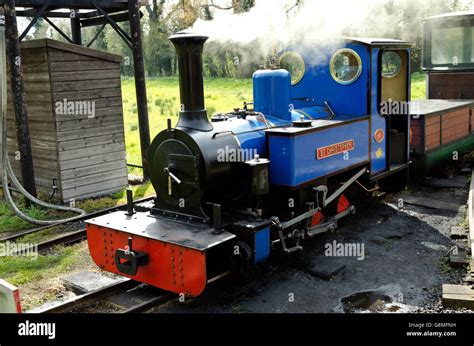 Narrow gauge steam locomotive at the Bressingham Steam Museum and ...