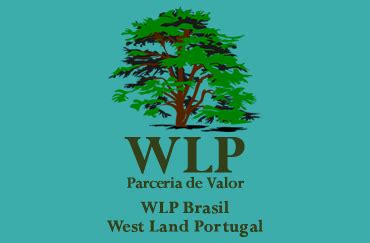 Wlp Brasil Materiais