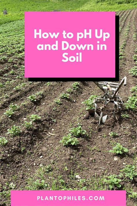 how to lower soil ph 2