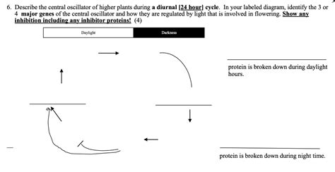 Solved 6 | Chegg.com 