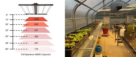 Understanding LED Grow Lights: Power Needs and Spacing