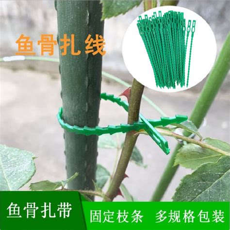 鱼骨扎线 园艺园林扎线 爬藤植物固定线 塑料绑扎带捆扎线 阿里巴巴