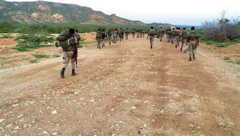 Ethiopian Navy joins fighting in Amhara Region - Ethio Negari