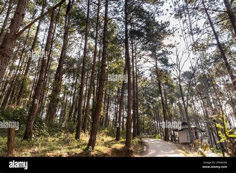 Pang Ung Is A Tourist Attraction In Mae Hong Son Northern Thailand