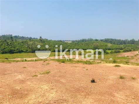 Land For Sale Bandaragama Ikman