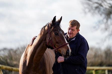 Hewick (IRE) - Horse Profile - BloodHorse