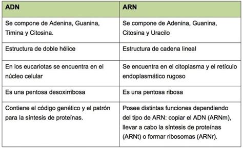 Cuadro Comparativo Qu Es Como Hacer Uno Estructura Y Ejemplos