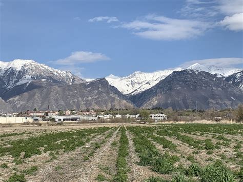 Orem Utah Temple Photograph Gallery | ChurchofJesusChristTemples.org