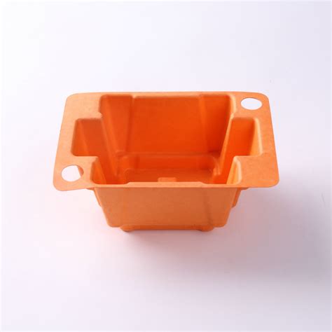 Biodegradable Bagasse Pulp Molded Eyelash Packaging Tray KINYI