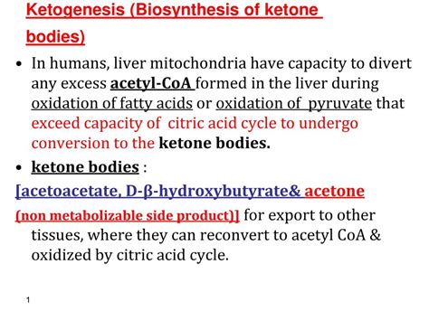 Ketogenesis Biosynthesis Of Ketone Bodies Ppt Download