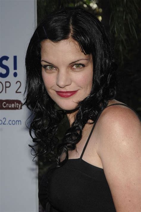 Mejor Pauley Perrette Pauley Perrette Ncis Fondo De Pantalla Del Teléfono Pxfuel