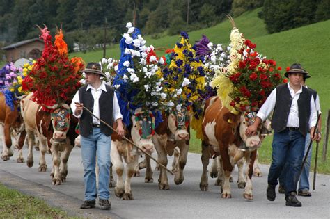 Almabtriebe In Tirol Zwischen Tradition Und Kitsch Tiroler