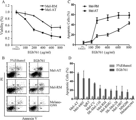 EGb761 Inhibits Cell Growth And Induces Apoptosis In Melanoma Cells In