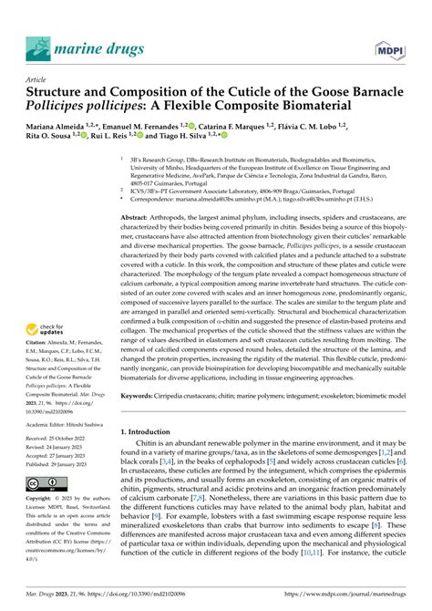 Pdf Structure And Composition Of The Cuticle Of The Goose Barnacle