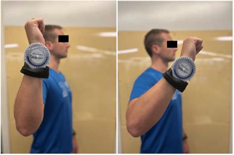 Jcm Free Full Text Shoulder Proprioception A Review