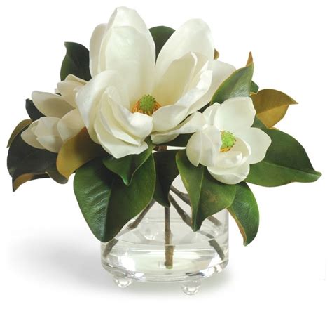 Timeless Magnolias In Footed Glass Vase 20 Contemporary Plants