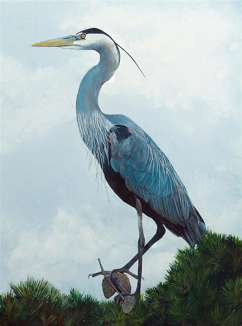 Great Blue Heron Painting by Marsha Friedman - Pixels