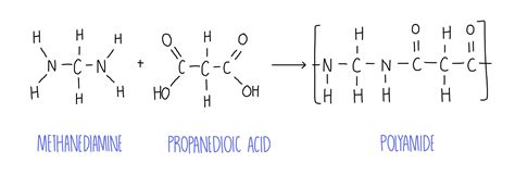 Polyesters And Polyamides The Science Sauce