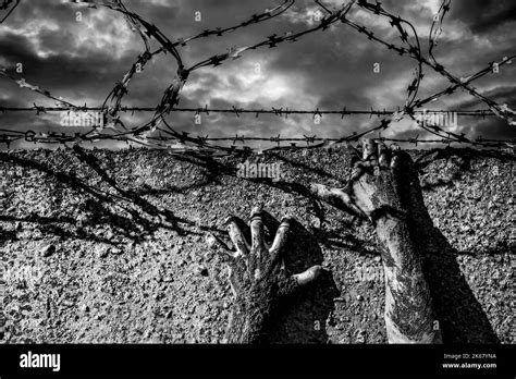 Jail Break Hands Holding On To Barbed Wire On The Wall Of The Prison