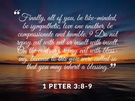 1 Peter 38 9