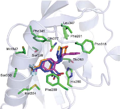 Figure 3 From New Aryl Hydrocarbon Receptor Homology Model Targeted To