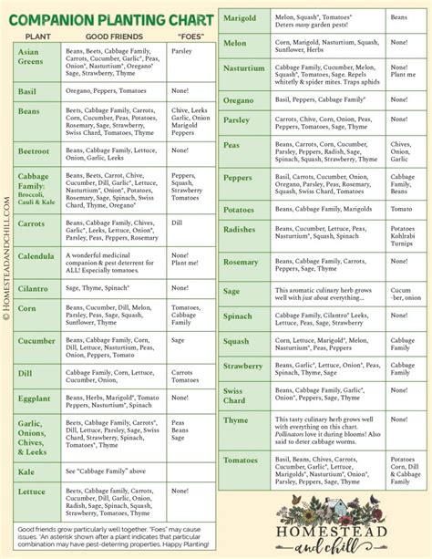 Companion Planting 101 W Garden Companion Planting Chart Homestead