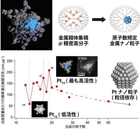 金属サブナノ粒子を分子設計に基づき原子レベルの精度で合成 東京科学大学 総合研究院 化学生命科学研究所